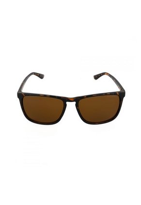 GAFAS HAVANA STEVE MADDEN OUTLOOK X17155
