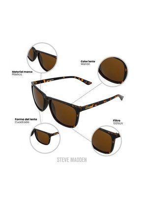 GAFAS HAVANA STEVE MADDEN OUTLOOK X17155