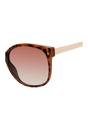 GAFAS HAVANA STEVE MADDEN OUTLOOK X17037