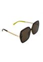 GAFAS HAVANA STEVE MADDEN OUTLOOK X17014 de Steve Madden