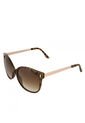 GAFAS HAVANA STEVE MADDEN OUTLOOK X17037 de Steve Madden