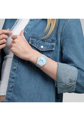 Relojes Swatch Unisex BLUEBERRY SKY. Silicona Gris SO29M702
