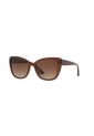 Gafas De Sol Tecnol TN4039U Marrón Mujer Degradé de Tecnol