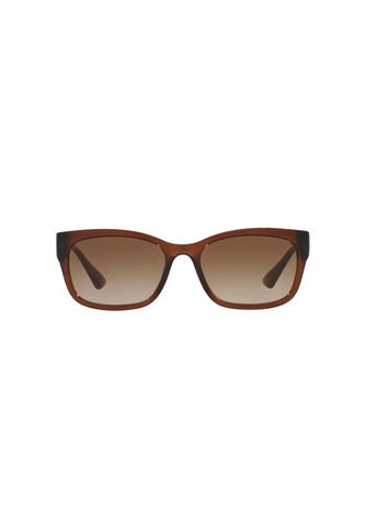Gafas De Sol Tecnol TN4037 Marrón Mujer Degradé Tecnol