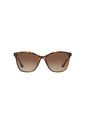 Gafas De Sol Tecnol TN4041U Tipo Carey Mujer Degradé de Tecnol