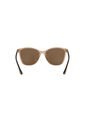Gafas De Sol Tecnol TN4041U Marrón Mujer de Tecnol