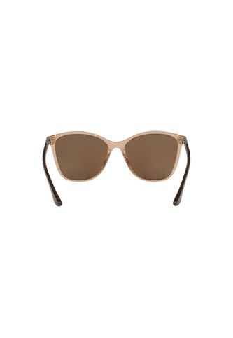Gafas De Sol Tecnol TN4041U Marrón Mujer Tecnol