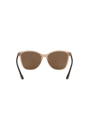 Gafas De Sol Tecnol TN4041U Marrón Mujer
