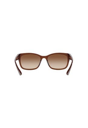 Gafas De Sol Tecnol TN4037 Marrón Mujer Degradé