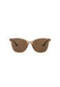 Gafas De Sol Tecnol TN4041U Marrón Mujer de Tecnol