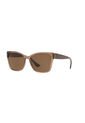 Gafas De Sol Tecnol TN4032 Marrón Mujer de Tecnol