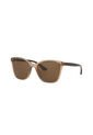 Gafas De Sol Tecnol TN4041U Marrón Mujer de Tecnol