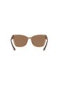Gafas De Sol Tecnol TN4032 Marrón Mujer de Tecnol