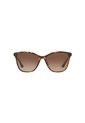 Gafas De Sol Tecnol TN4041U Tipo Carey Mujer Degradé de Tecnol