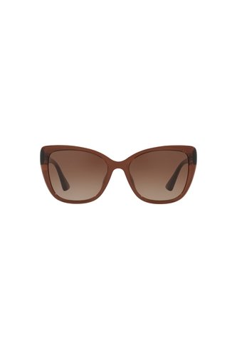 Gafas De Sol Tecnol TN4039U Marrón Mujer Degradé Tecnol