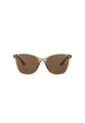 Gafas De Sol Tecnol TN4041U Marrón Mujer de Tecnol