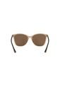 Gafas De Sol Tecnol TN4041U Marrón Mujer de Tecnol
