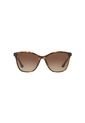 Gafas De Sol Tecnol TN4041U Tipo Carey Mujer Degradé de Tecnol