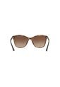 Gafas De Sol Tecnol TN4041U Tipo Carey Mujer Degradé de Tecnol