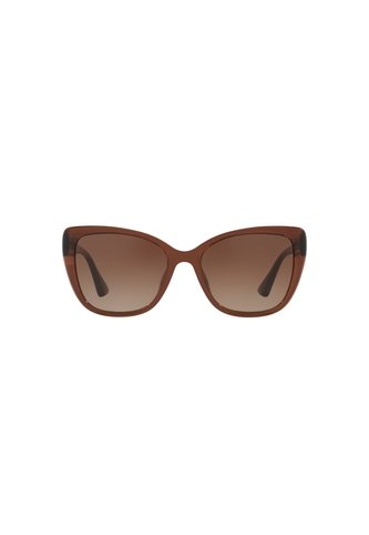 Gafas De Sol Tecnol TN4039U Marrón Mujer Degradé Tecnol