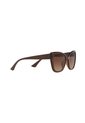 Gafas De Sol Tecnol TN4039U Marrón Mujer Degradé de Tecnol