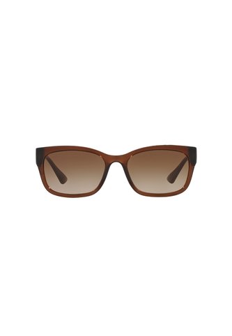 Gafas De Sol Tecnol TN4037 Marrón Mujer Degradé Tecnol