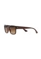 Gafas De Sol Tecnol TN4037 Marrón Mujer Degradé de Tecnol