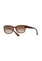 Gafas De Sol Tecnol TN4037 Marrón Mujer Degradé de Tecnol