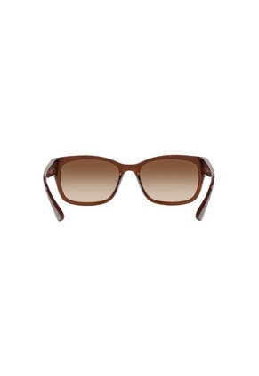 Gafas De Sol Tecnol TN4037 Marrón Mujer Degradé
