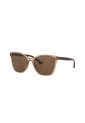 Gafas De Sol Tecnol TN4041U Marrón Mujer de Tecnol