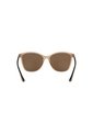 Gafas De Sol Tecnol TN4041U Marrón Mujer de Tecnol