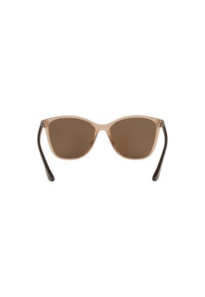 Gafas De Sol Tecnol TN4041U Marrón Mujer