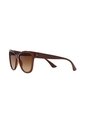Gafas De Sol Tecnol TN4038 Marrón Mujer Degradé de Tecnol
