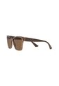 Gafas De Sol Tecnol TN4032 Marrón Mujer de Tecnol