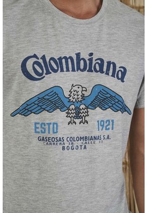 Camiseta Gris Para Hombre