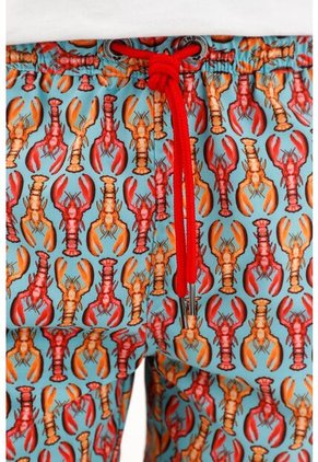 Pantaloneta Estampada Para Niño