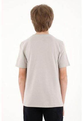 Camiseta Básica Gris Con Estampado Infantil Para Niño