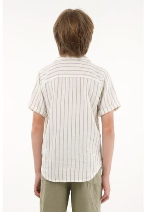 Camisa Con Diseño A Rayas Verde Para Niño