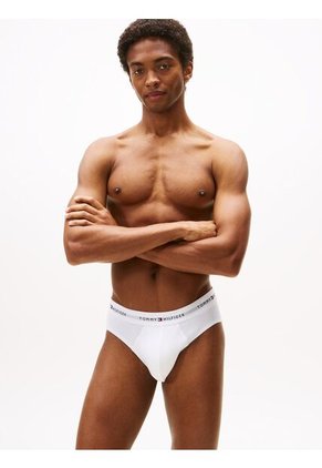 Pack Multicolor De 3 Brief Tommy Hilfiger