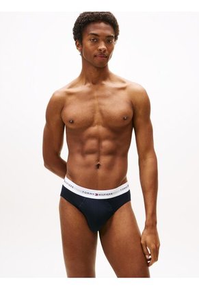 Pack Multicolor De 3 Brief Tommy Hilfiger