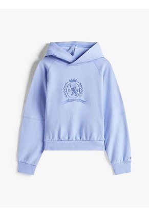 Buzo Celeste Con Capota Y Logo Tonal Tommy Hilfiger