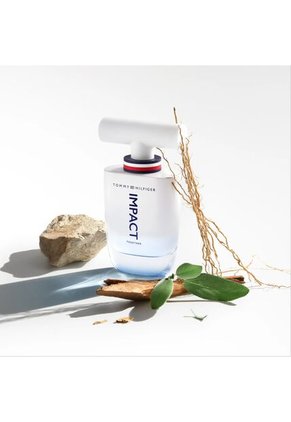 Perfume Hombre Impact Together 100 Ml Tommy Hilfiger 