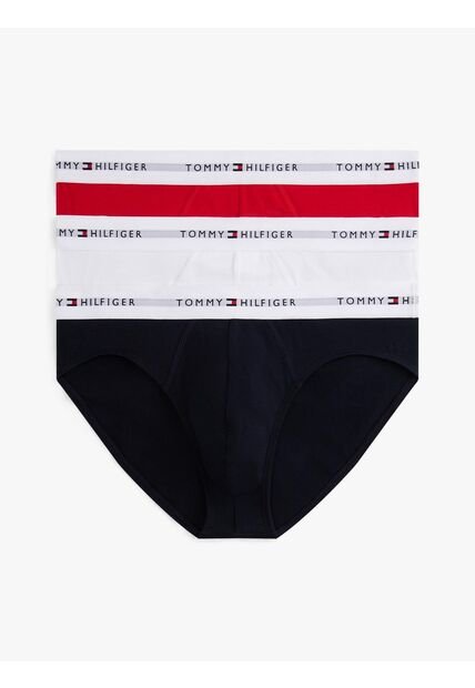 Pack Multicolor De 3 Brief Tommy Hilfiger