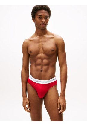 Pack Multicolor De 3 Brief Tommy Hilfiger