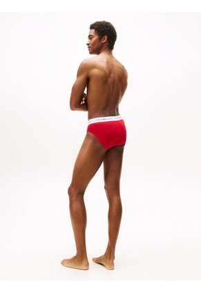 Pack Multicolor De 3 Brief Tommy Hilfiger