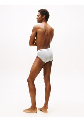 Pack Multicolor De 3 Brief Tommy Hilfiger