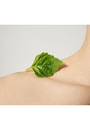 Perfume Tommy - 100Ml