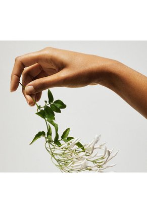 Perfume Tommy Girl - 100Ml