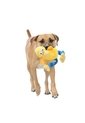 Juguete Para Mascota Patopatas Amarillo/Azul de Totto