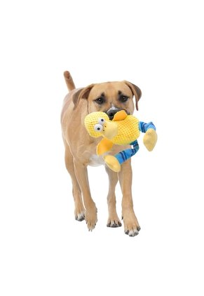 Juguete Para Mascota Patopatas Amarillo/Azul